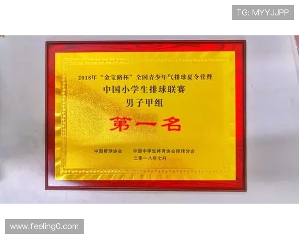 南京排球队荣登排球个人能力排行榜第二名展现强大实力与潜力 南京排球队荣登排球个人能力排行榜第二名展现强大实力与潜力