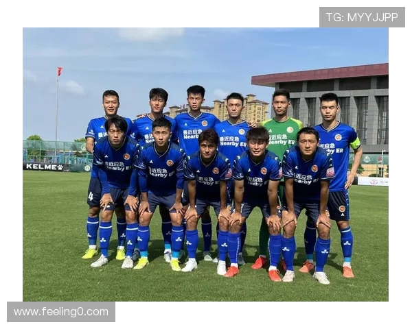 武汉网球队的崛起与荣耀:揭秘他们背后的训练与奋斗故事 武汉网球队的崛起与荣耀:揭秘他们背后的训练与奋斗故事