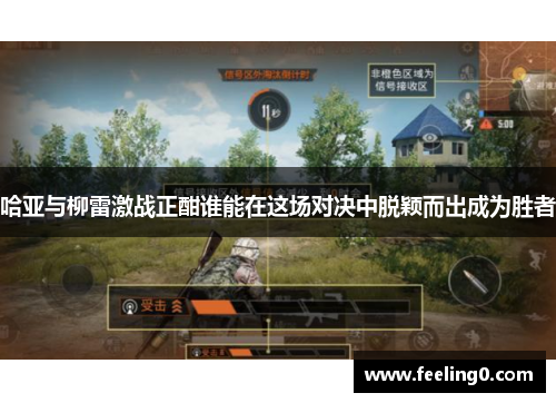 哈亚与柳雷激战正酣谁能在这场对决中脱颖而出成为胜者